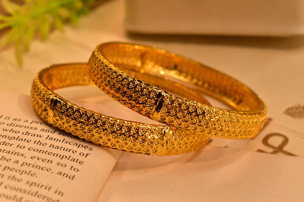Elegant Design Gold Plated 2pc Bangle Set for Girls/Women