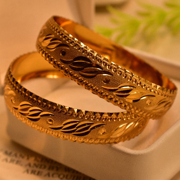Elegant Design Gold Plated 2pc Bangle Set for Girls/Women