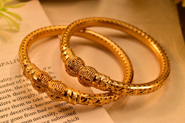 Elegant Design Gold Plated Bangle Set for Girls/Women