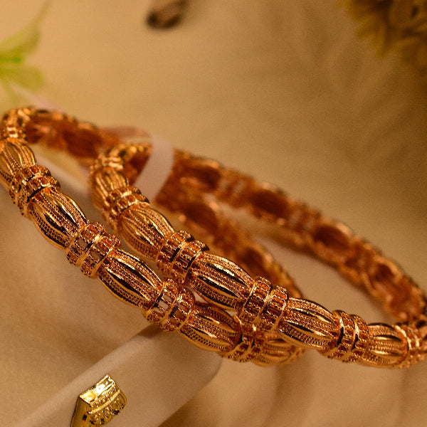 Dazzling Unique Design 2pc Bangle Set for Girls/Women
