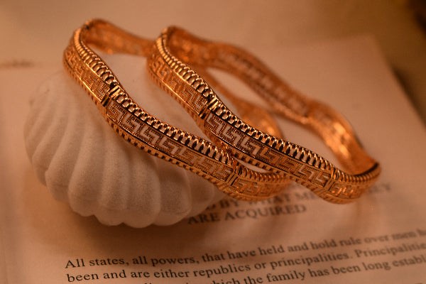 Dazzling Unique Design Gold Plated 2pc Bangle Set for Girls/Women
