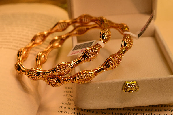 Elegant Design Gold Plated 2pc Bangle Set for Girls/Women