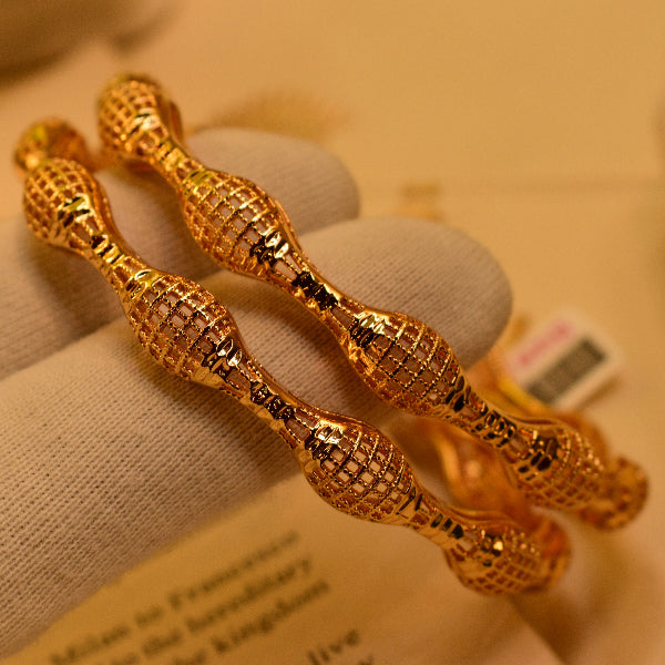 Elegant Design Gold Plated 2pc Bangle Set for Girls/Women