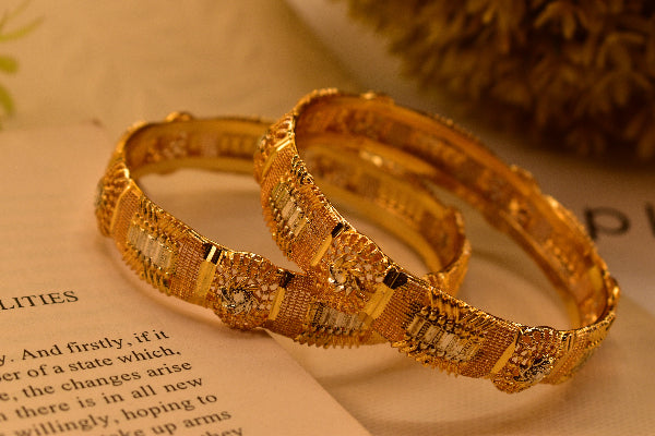 Charming Unique Design Gold Plated 2pc Bangle Set for Girls/Women