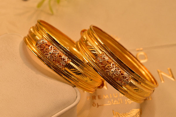 Gorgeous Unique Design Gold Plated 2pc Bangle Set For Girlswomen 