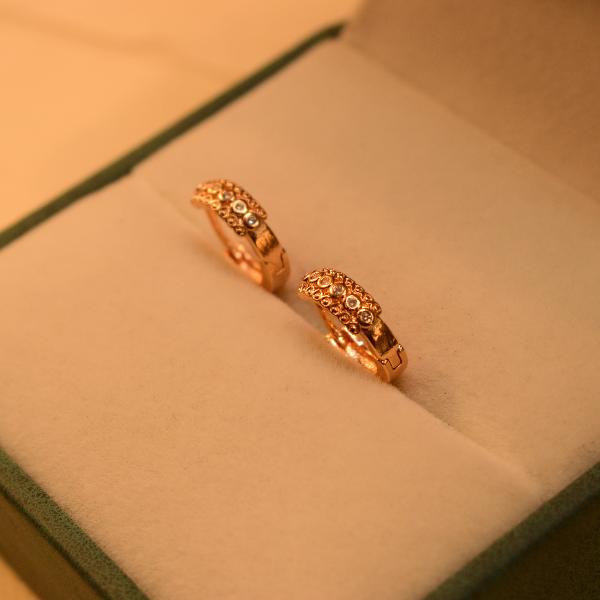 Glamorous Elegant Design Gold Plated Earrings For Girls/women