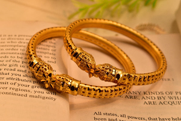 Stylish Design Gold Plated 2pc Bangle Set for Girls/Women