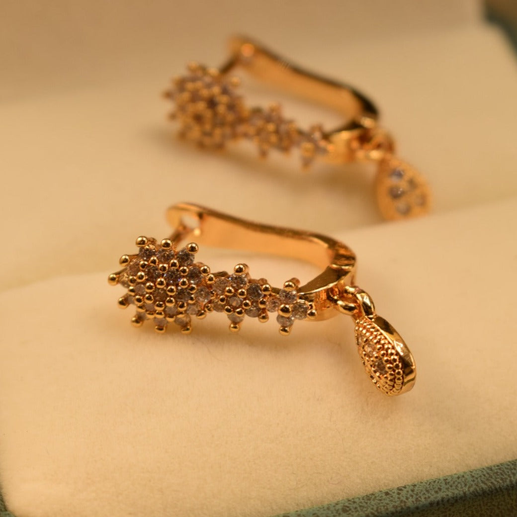 Elegant Design Gold Plated Earrings For Girls/women