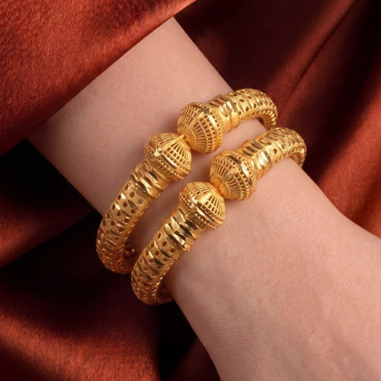 Dazzling Unique Design Gold Plated 2pc Bangle set For Girls/women