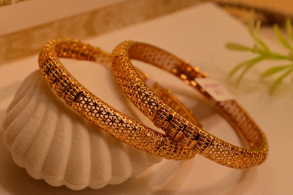 Gorgeous Unique Design Gold Plated 2pc Bangle Set for Girls/Women