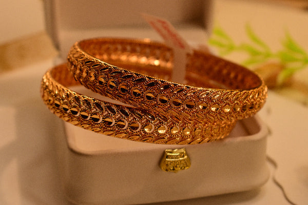 Elegant Unique Design 2pc Bangle Set for Girls/Women
