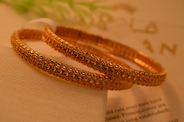 Beautiful Unique Design 2pc Bangle Set for Girls/Women