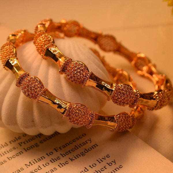 Dazzling Unique Design Gold Plated 2pc Bangle Set for Girls/Women