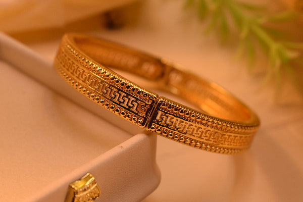 Gorgeous Unique Design Gold Plated Bangle for Girls/Women
