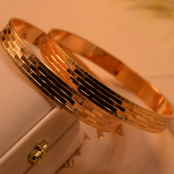 Elegant Unique Design Gold Plated 2pc Bangle Set for Girls/Women