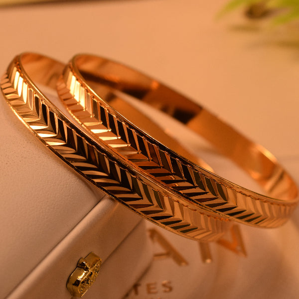 Beautiful Unique Design Gold Plated 2pc Bangle Set for Girls/Women