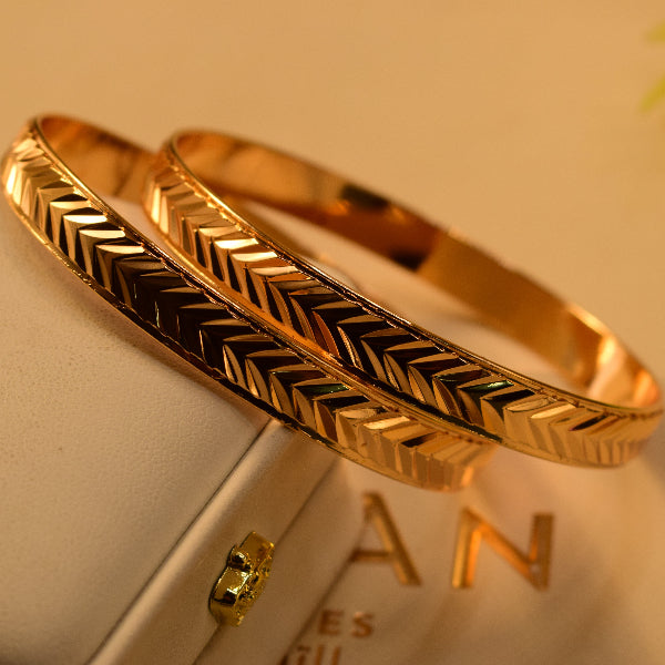 Beautiful Unique Design Gold Plated 2pc Bangle Set for Girls/Women