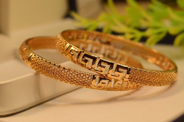 Elegant Gold Plated Bangle Set for Girls/Women