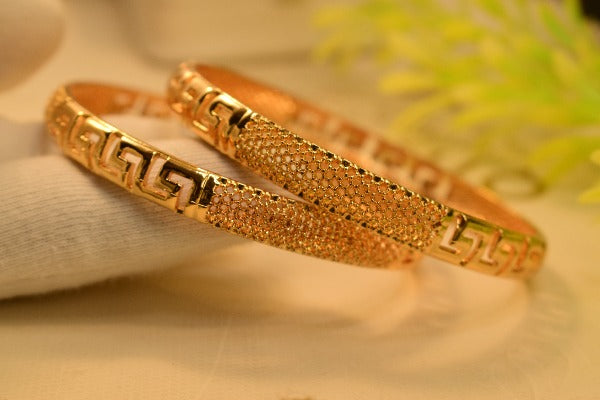 Elegant Gold Plated Bangle Set for Girls/Women