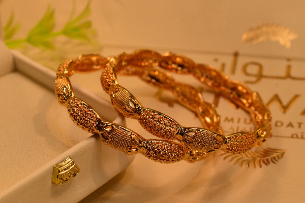 Elegant Design Gold Plated 2pc Bangles Set for Girls/Women