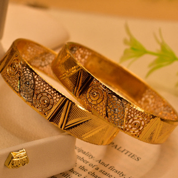 Glamorous Unique Design Gold Plated 2pc Bangle Set for Girls/Women