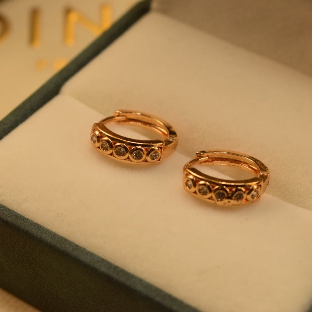 Elegant Design Golden Earrings For Girls/women.