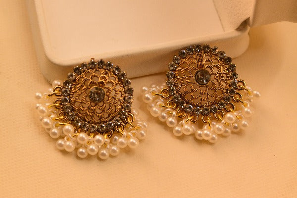 Elegant Design Earrings For Girls/Women